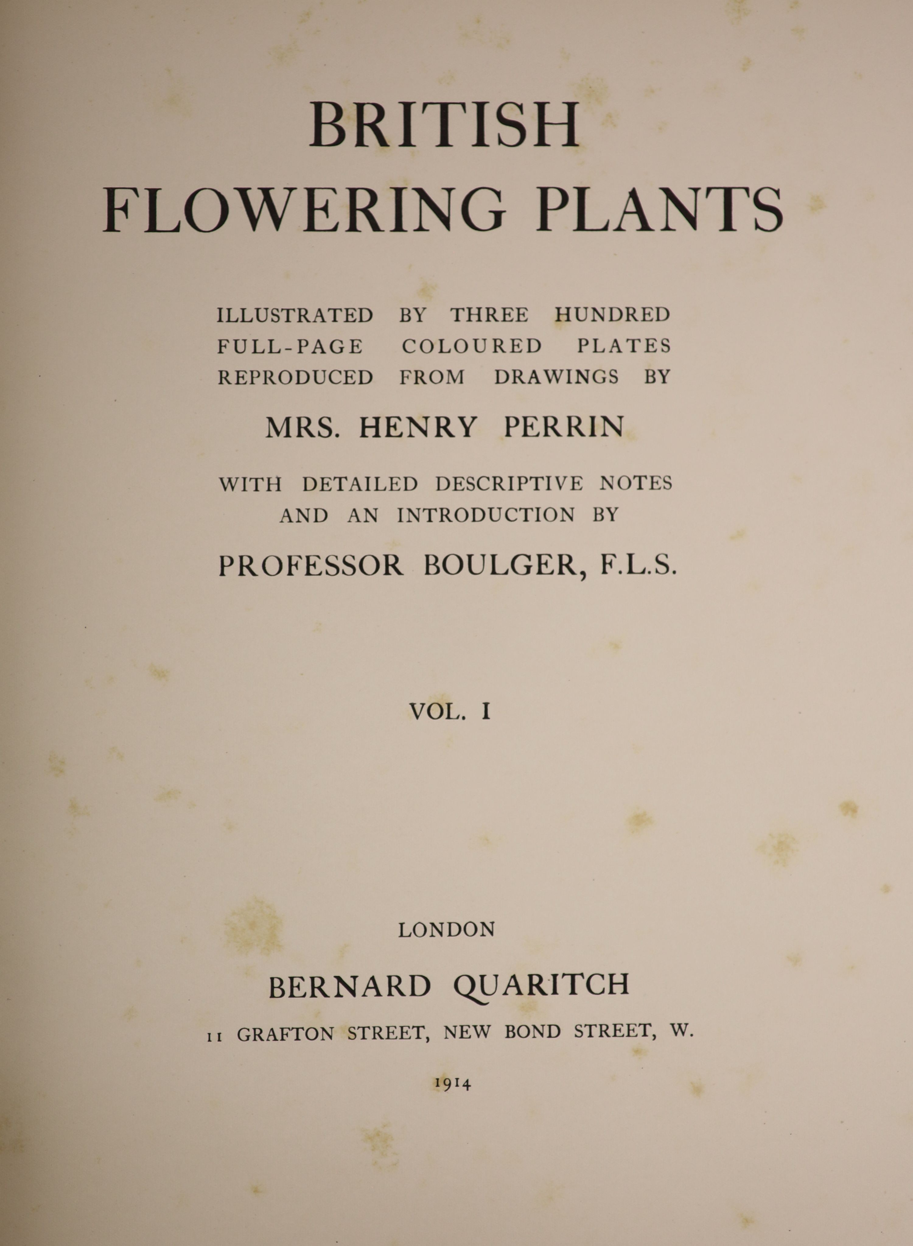 Boulger, George S and Perrin, Ida Southwell - British Flowering Plants, 4 vols, number 641 of 1,000, qto, cream cloth, with 300 coloured plates, Bernard Quaritch, London, 1914